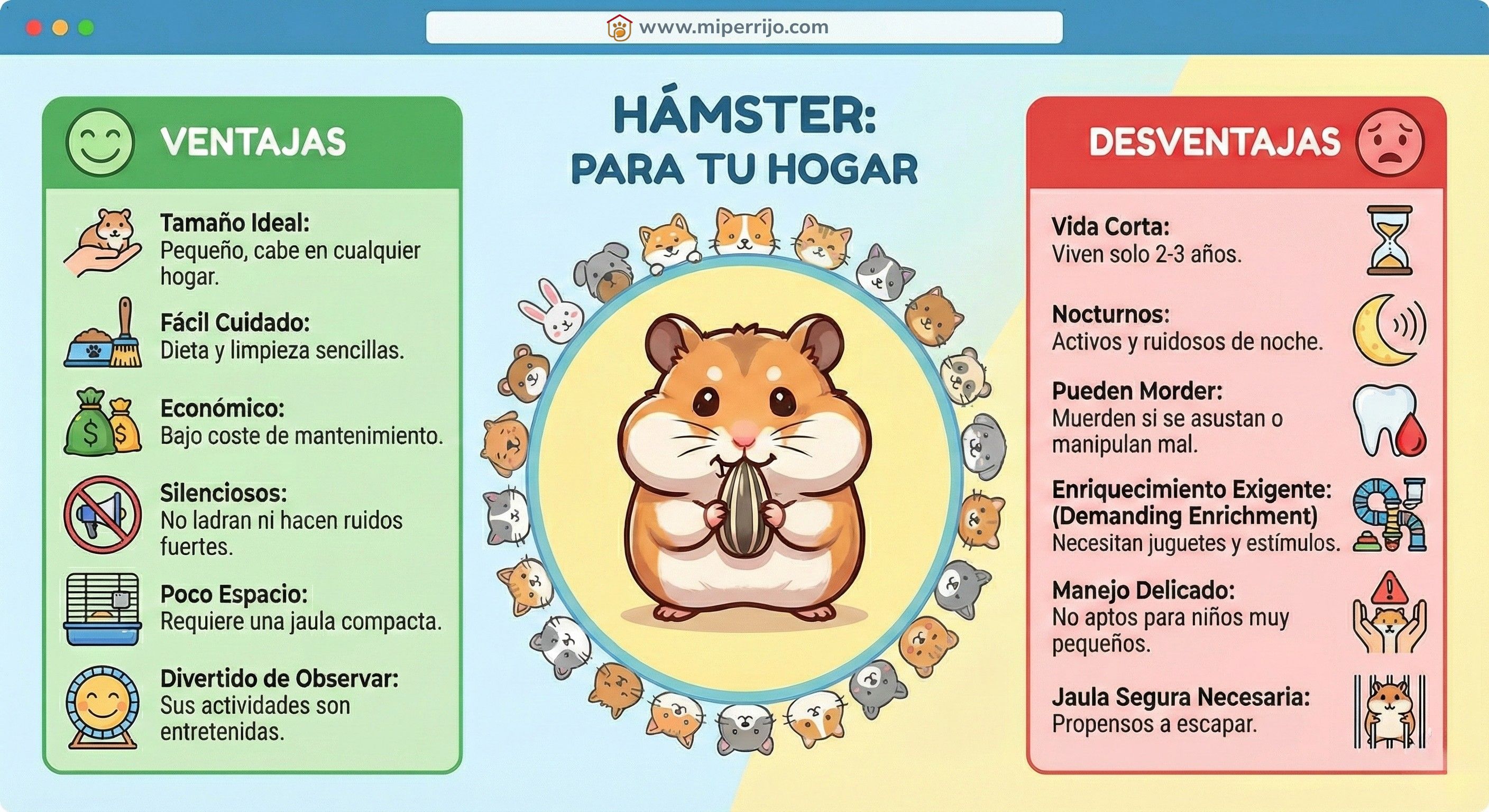 hamster ventajas y desventajas