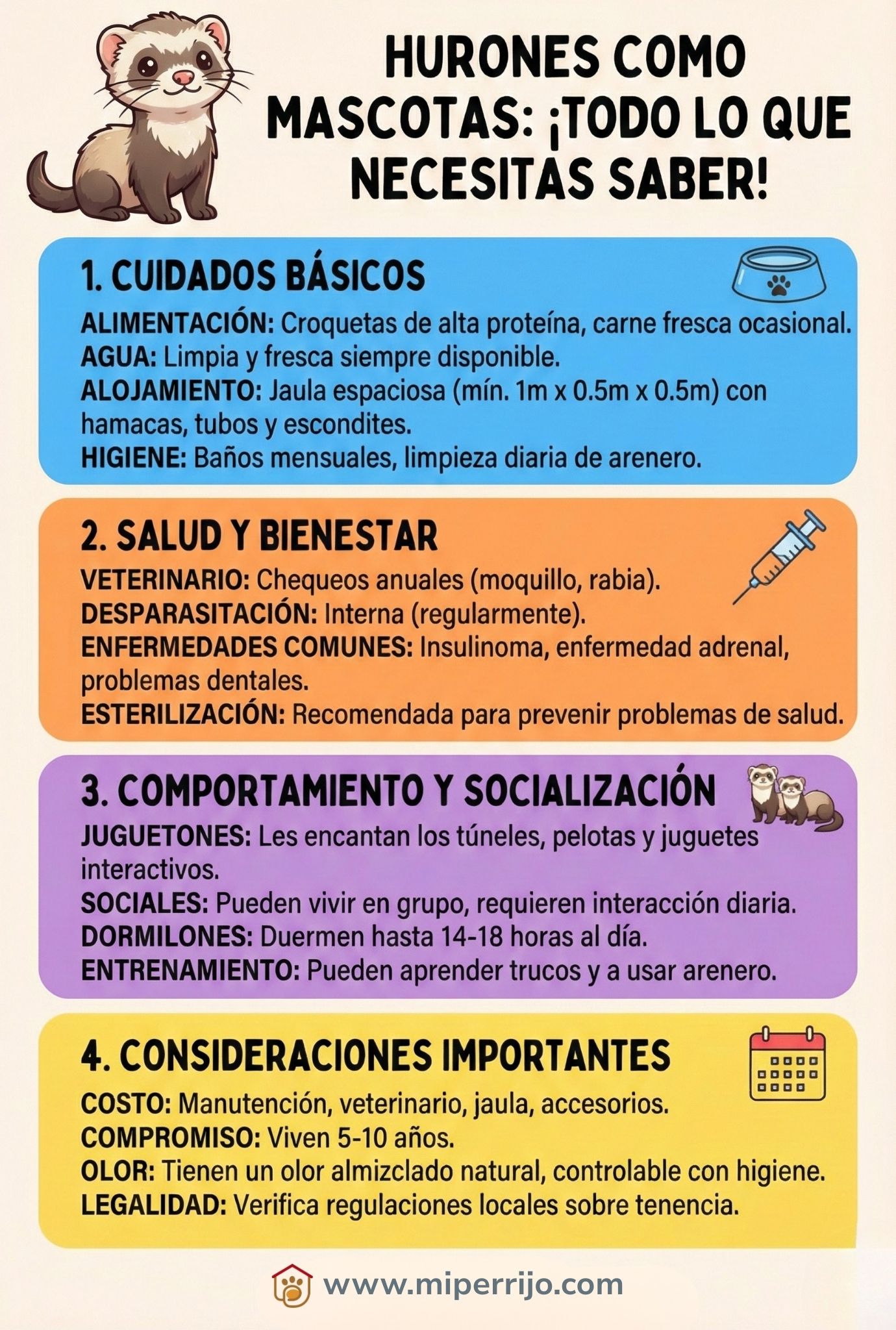 hurones como mascotas