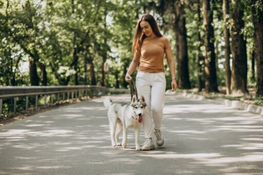 mujer paseando a perro