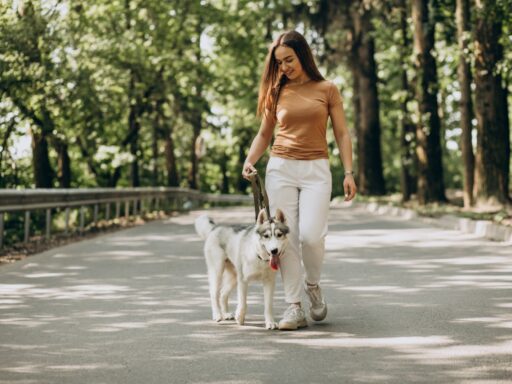 mujer paseando a perro