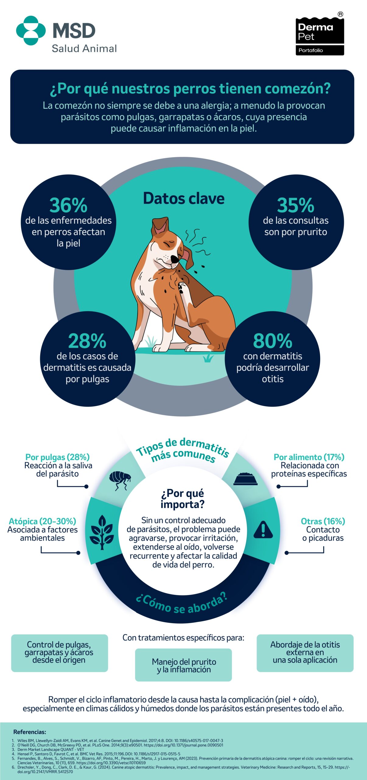 infografía salud dermatológica 2026 page 0001