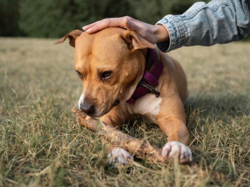 salud dermatológica 3